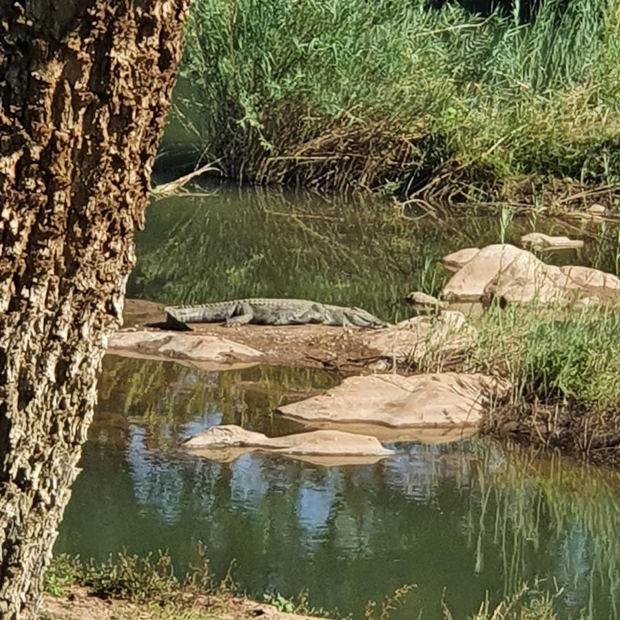 Ekuthuleni River Front Chalets Maruleng Eksteriør billede