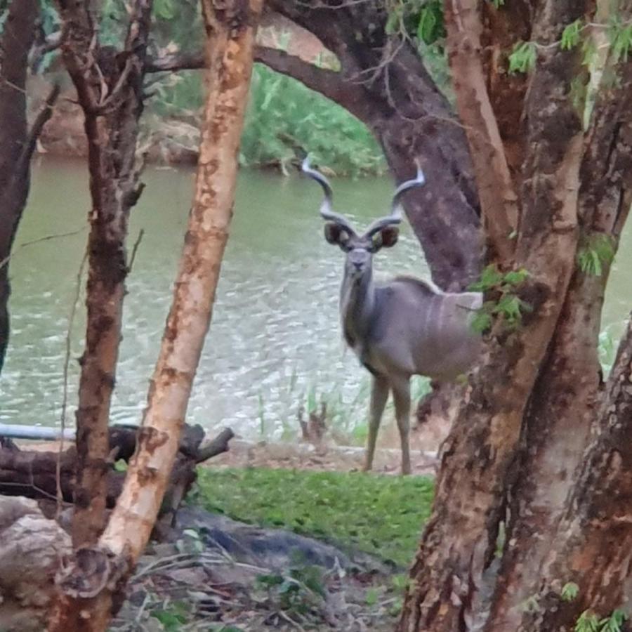 Ekuthuleni River Front Chalets Maruleng Eksteriør billede